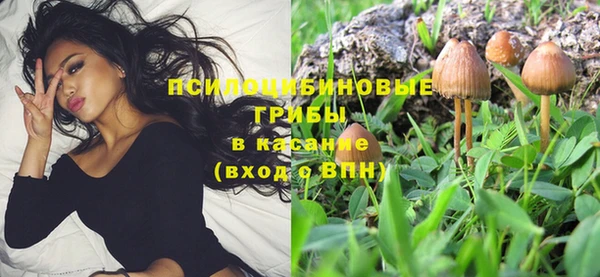 дурь Елабуга