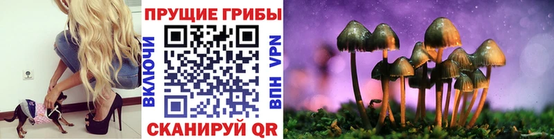 Купить где  Омутнинск  Галлюциногенные грибы GOLDEN TEACHER 